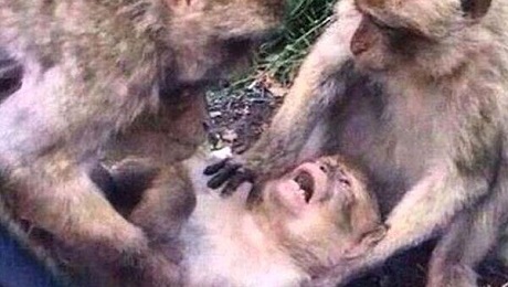 Фото публикации