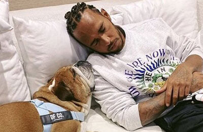 ахахаха, Валттери Боттас, Льюис Хэмилтон, Мерседес, Джордж Расселл, Формула-1, животные и спорт, соцсети