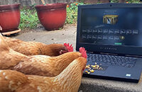 Ярослав «pashaBiceps» Яжомбковски, Скины CS2