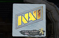 PGL Major Antwerp, Мейджоры, Наклейки