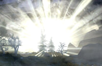 Экшены, Bethesda Game Studios, Skyrim, Ролевые игры, Подборки, Bethesda Softworks