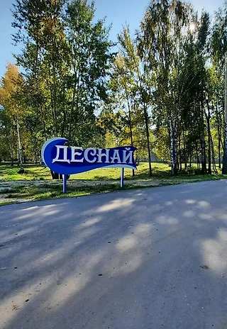 Каких ошибок стоит избегать в соревнованиях по плаванию на открытой воде