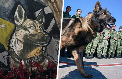 Сборная Мексики по футболу, Лига конференций УЕФА, Базель, Трабзонспор