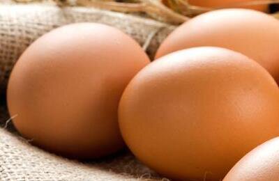 Дмитрий «Sh1ro» Соколов, Cloud9, IEM Rio Major 2022, Абай «HObbit» Хасенов, Владислав «nafany» Горшков