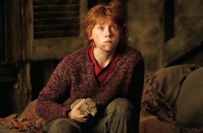 Hogwarts Legacy, PlayStation 5, Xbox One, Xbox Series S, PlayStation 4, Xbox Series X, ПК, Экшены