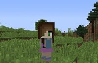 Minecraft, Mojang AB, Microsoft