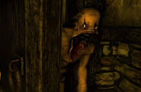 Хорроры, Amnesia, Frictional Games, Amnesia: Rebirth