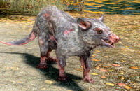 Skyrim, Ролевые игры, Экшены, Подборки, Секреты, Bethesda Game Studios, Bethesda Softworks