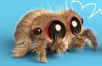 WePlay AniMajor, Лассе «Matumbaman» Урпалайнен, Tidehunter, Team Liquid, Troll Warlord, Клемент «Puppey» Иванов, Амер «Miracle-» аль-Баркави, Broodmother, Dota 2, Жэнь «old eLeVeN» Янвэй