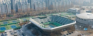 WTA, Неделя 19: Токио и Сеул
