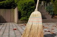 Dota Pro Circuit, Баги в Dota 2, Dota 2, Dota Plus, Wraith King, Rubick, Tiny, Hoodwink, Valve, Патч 7.36b