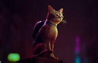 Приключения, Sony Interactive Entertainment, PlayStation 5, Платформеры, Stray, ПК, PlayStation 4