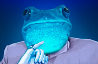 Virtus.pro, Team Secret, LGD, Ролен Андре «Skem» Габриэл Онг, IceFrog, Invictus Gaming, Neon, Патч 7.36b