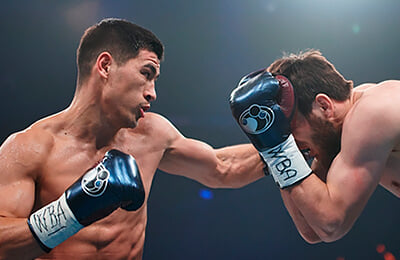 Дмитрий Бивол, Умар Саламов, полутяжелый вес, бокс