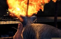 Шутеры, ПК, Пасхалки, Battlefield V