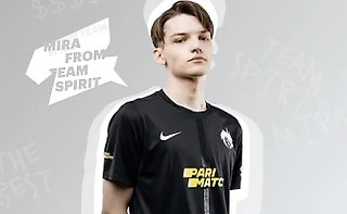 Dota 2 Инфографика: Team Spirit - Mira