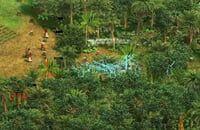 Age of Empires 2: Definitive Edition, Стратегии