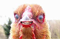 Assassin's Creed: Odyssey