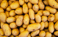 Valorant, Ведьмак 3: Дикая Охота, World of Tanks