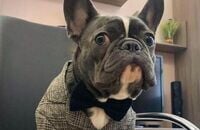 Team Liquid, Nigma, DPC Европа, Мария «Inverno» Гунина, OG, Team Secret, Alliance