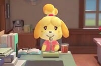 Nintendo Switch, Nintendo, Animal Crossing: New Horizons, Симуляторы, Обзоры игр