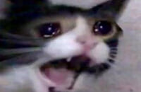 Watch Dogs, Red Dead Redemption 2, Джон «TotalBiscuit» Бейн, Apex Legends, Mordhau, Half-Life 2