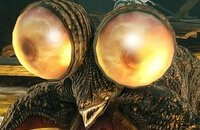 FromSoftware, Bandai Namco Entertainment, Ролевые игры, Гайды, Elden Ring