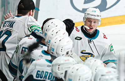 Михаил Бердин, КХЛ, Матвей Мичков, Сочи, Нефтехимик, Амур, Трактор, видео