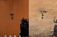 Counter-Strike: Global Offensive, Valorant