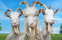 Системные требования, Goat Simulator 3