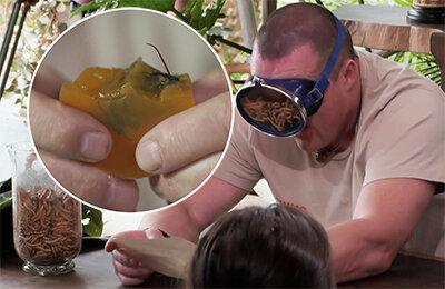 бокс, телевидение, Денис Лебедев