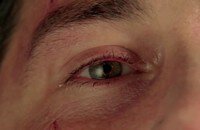 Остаться в живых, Кино, Сериалы, Бесстыжие, Эмми, HBO