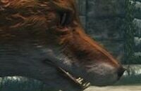 Skyrim, Bethesda Game Studios, Bethesda Softworks, Ролевые игры