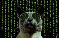 Warner Bros. Pictures, Матрица 4, Фильмы