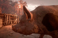 Хидэо Кодзима, A Plague Tale: Innocence, Hearthstone, Portal, Dishonored