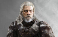 Ведьмак, Ведьмак 3: Дикая Охота, Ролевые игры