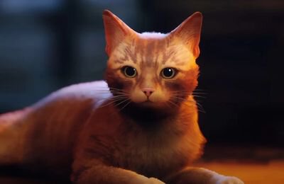 Прохождения, PlayStation 4, Stray, PlayStation 5, Гайды, ПК