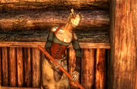 Подборки, Bethesda Game Studios, Ролевые игры, Экшены, Skyrim, Bethesda Softworks