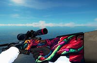 Скины CS2, Counter-Strike: Global Offensive