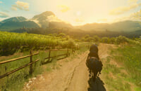 Ведьмак 3: Дикая Охота, Call of Duty: Black Ops Cold War, Red Dead Redemption 2, Serious Sam 4: Planet Badass, Skyrim