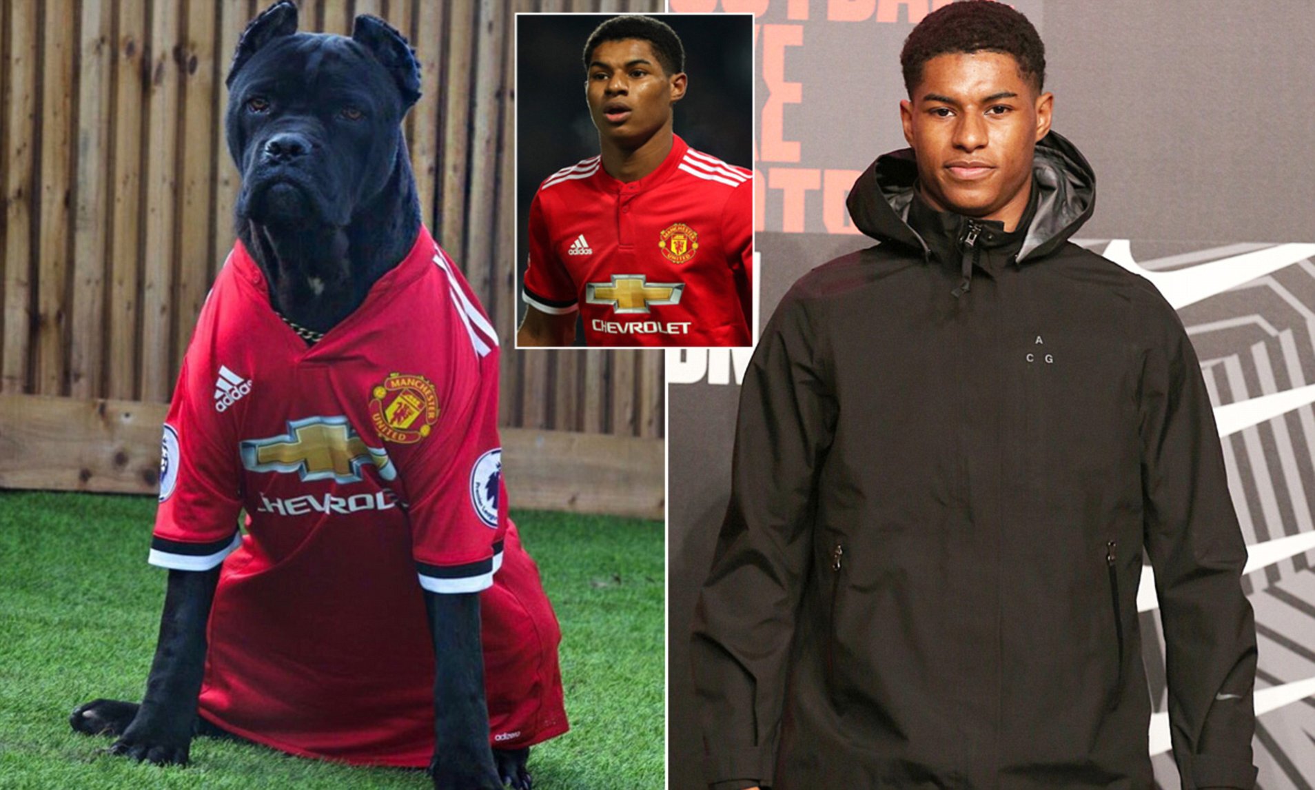 Клубы, Маркус Рэшфорд, Манчестер Юнайтед, Бруну Фернандеш