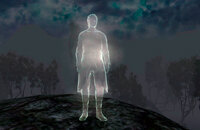 The Elder Scrolls IV: Oblivion, Секреты, Bethesda Softworks, Ролевые игры, Экшены, Bethesda Game Studios