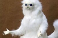 NAVI, Forze, Александр «S1mple» Костылев, ESL One New York, Dust2, Денис «Electronic» Шарипов