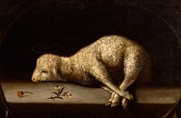 Хайлайты, WePlay AniMajor, Team Liquid, Team Spirit