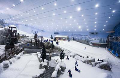 Гас Шумахер, Эдуард Латыпов, Олимпиада-2022, Рози Бреннан, Экология