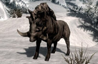 The Elder Scrolls Online, Тодд Говард, The Elder Scrolls IV: Oblivion, Bethesda Softworks, Skyrim