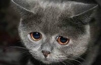 Андрей «Mag~» Чипенко, Beastcoast, Singapore Major, Virtus.pro, Nigma, Ариф «MSS» Анвар, Iceberg, Иван «MinD_ContRoL» Иванов, Роман «Ramzes666» Кушнарев, Андрей «ALWAYSWANNAFLY» Бондаренко, Quincy Crew, NAVI