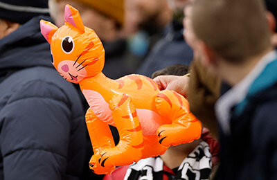 Вест Хэм, Крис Вуд, Курт Зума, Дэвид Мойес, животные и спорт, премьер-лига Англия, Ньюкасл, коты