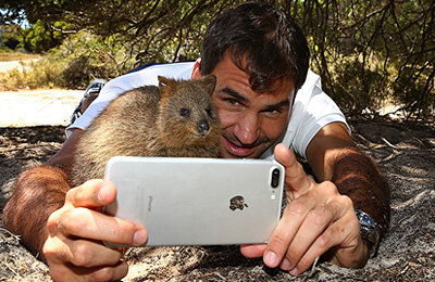 ATP, Роджер Федерер