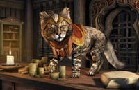 Тодд Говард, Пасхалки, Bethesda Softworks, Skyrim, Ролевые игры, Bethesda Game Studios